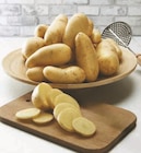 Super U Ruoms - Promo Pomme de terre de consommation lavée Promo Pomme de terre de consommation lavée à 2,49 € dans le catalogue Super U à Ruoms