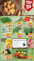 Dekoration im REWE Prospekt Dekoration im REWE Prospekt "Dein Markt" auf Seite 11