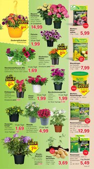 Hortensie im aktuellen Jawoll Prospekt (Darmstadt) Hortensie im Jawoll Prospekt "Sonderposten-Märkte" mit 16 Seiten (Darmstadt)