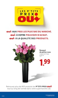 Promo Orchidée dans le catalogue Lidl du moment à la page 30