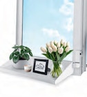 Fensterbrett von frischluft für 29,99 € bei Netto mit dem Scottie im Angebot Fensterbrett von frischluft im aktuellen Netto mit dem Scottie Prospekt