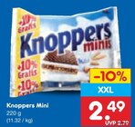 Netto Marken-Discount - Mini Angebot im Prospekt Mini bei Netto Marken-Discount im Prospekt "" für 2,49 €
