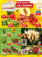Paprika im Netto Marken-Discount Prospekt in Weiden Aktueller Netto Marken-Discount Prospekt mit Paprika, "Aktuelle Angebote", Seite 11
