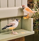 Oiseau en polyrésine dans le catalogue U Express