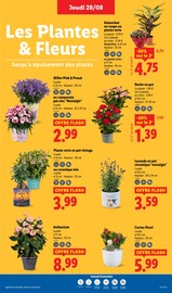 Jardinage Angebote im Prospekt "C'est la rentrée Grandes marques minis prix" von Lidl auf Seite 27