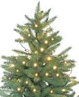LED-Outdoor-Lichterkette im Angebot bei Thomas Philipps in Schwäbisch Hall LED-Outdoor-Lichterkette Angebote bei Thomas Philipps Schwäbisch Hall für 4,99 €