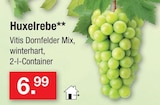 Huxelrebe im Angebot bei Zimmermann in Wiesbaden Huxelrebe Angebote bei Zimmermann Wiesbaden für 6,99 €