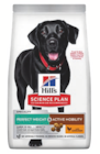 Sélection de croquettes – 12kg - Hill's Science Plan - Animalis à Rueil-Malmaison Sélection de croquettes – 12kg - Hill's Science Plan en promo chez Animalis Rueil-Malmaison à 71,39 €