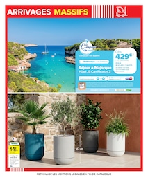 Offre Plantes dans le catalogue Carrefour du moment à la page 5