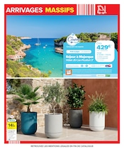 Fleurs en promo dans le catalogue Carrefour à la page 5