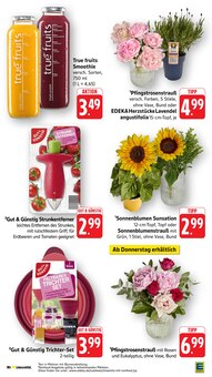 Blumen im aktuellen E center Prospekt (Trier) Blumen im E center Prospekt "Aktuelle Angebote" mit 72 Seiten (Trier)