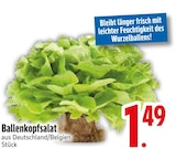 Ballenkopfsalat von  im aktuellen EDEKA Prospekt für 1,49 €