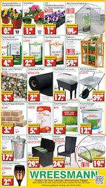 Rasendünger im Wreesmann Prospekt in Aurich Aktueller Wreesmann Prospekt mit Rasendünger, "DEIN SAISON- & SONDERPOSTENMARKT!", Seite 20
