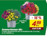 Sommerblumen-Mix  im aktuellen toom Baumarkt Prospekt für 4,99 €