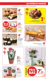 Promos Jardinage dans le catalogue "SUPER U" de Super U Jardinage en promo dans le catalogue Super U à la page 35