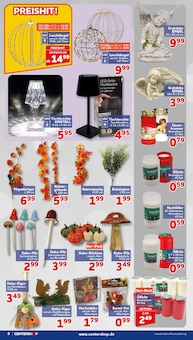 Kunstblumen im CENTERSHOP Prospekt "Da geht was." mit 16 Seiten (Solingen (Klingenstadt))
