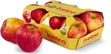 Aktuelles Deutsche rote Äpfel Evelina Angebot bei Penny in Potsdam ab 1,69 €