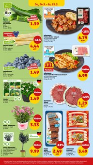 Kissen im aktuellen Penny Prospekt (Bottrop) Kissen im Penny Prospekt "Wer günstig will, muss Penny." mit 42 Seiten (Bottrop)