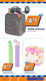 Bekleidung im Action Prospekt Bekleidung im Action Prospekt "Wochenangebote" auf Seite 13