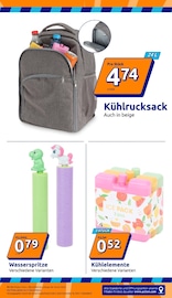 Rucksack im Action Prospekt in Monheim Aktueller Action Prospekt mit Rucksack, "Wochenangebote", Seite 13