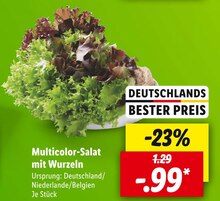 Multicolor-Salat mit Wurzeln Angebot in Ebersbach b Großenhain, Sachs im aktuellen Prospekt bei Lidl in Ebersbach b Großenhain, Sachs