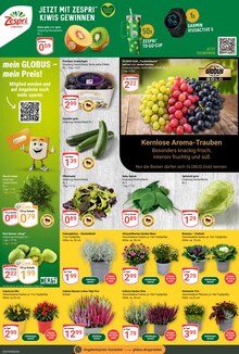 Blumen im aktuellen GLOBUS Prospekt (Oberhausen) Blumen im GLOBUS Prospekt "Aktuelle Angebote" mit 28 Seiten (Oberhausen)