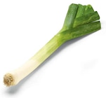 Aktuelles Lauch Angebot bei Netto Marken-Discount in Potsdam ab 0,69 €