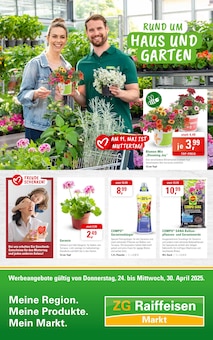 Geranien im ZG Raiffeisen Prospekt "RUND UM HAUS UND GARTEN" mit 8 Seiten (Karlsruhe)