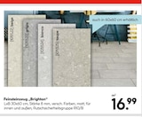 Aktuelles Feinsteinzeug Brighton beige Angebot bei Hellweg in Potsdam ab 16,99 €