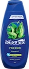 Shampoo bei Netto Marken-Discount im Prospekt "" für 1,69 €