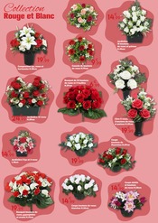 Promos Plantes dans le catalogue "TOUSSAINT fleurir le souvenir" de Maxi Bazar Plantes en promo dans le catalogue Maxi Bazar à la page 2