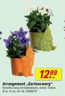 Arrangement Gartenzwerg Angebote bei toom Baumarkt Cottbus für 12,99 €