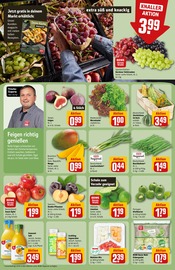Korb im REWE Prospekt in Braunschweig Aktueller REWE Prospekt mit Korb, "Dein Markt", Seite 6
