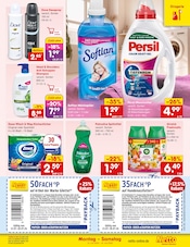 Shampoo im Netto Marken-Discount Prospekt in Mülheim Aktueller Netto Marken-Discount Prospekt mit Shampoo, "Aktuelle Angebote", Seite 43