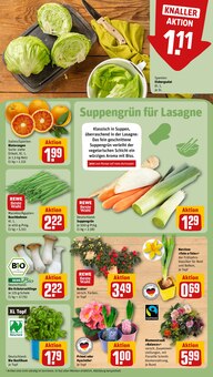 Pflanzen im REWE Prospekt "Dein Markt" mit 34 Seiten (Jena)