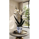 Orchidée en promo chez Carrefour Bron à 9,99 €