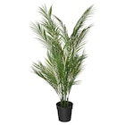 Topfpflanze, künstlich drinnen/draußen Goldfruchtpalme im IKEA Prospekt Topfpflanze, künstlich drinnen/draußen Goldfruchtpalme von FEJKA im aktuellen IKEA Prospekt für 39,99 €