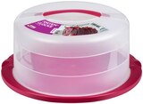 Aktuelle Torte Angebote bei REWE in Bonn Aktuelles Tortenglocke³ Angebot bei REWE in Bonn ab 6,99 €