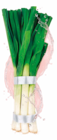 Lauch im Angebot bei Netto Marken-Discount in Rastatt Lauch Angebote bei Netto Marken-Discount Rastatt für 1,79 €