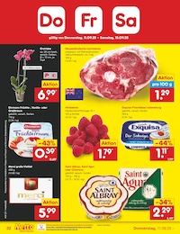 Netto Marken-Discount Orchidee im Prospekt 