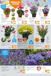 Aktueller Globus-Baumarkt Prospekt mit Blumen, "Immer eine Idee besser", Seite 2