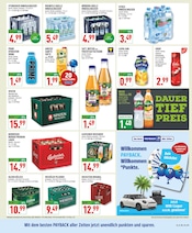 Energydrink im Marktkauf Prospekt in Erftstadt Aktueller Marktkauf Prospekt mit Energydrink, "Aktuelle Angebote", Seite 15