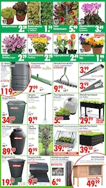 Regentonne im Wreesmann Prospekt in Görlitz Aktueller Wreesmann Prospekt mit Regentonne, "DEIN SAISON- & SONDERPOSTENMARKT!", Seite 3