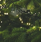 KORNSTEN Outdoor-Lichterkette von  im aktuellen JYSK Prospekt für 25,00 €