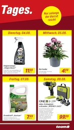 toom Baumarkt Bohrmaschine im Prospekt toom Baumarkt Bohrmaschine im Prospekt