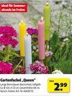 Hagebaumarkt Gägelow - Gartenfackel "Queen" Angebot im Prospekt Gartenfackel "Queen" bei Hagebaumarkt im Gägelow Prospekt für 2,99 €