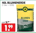 BLUMENERDE Angebote bei Wreesmann Pirna für 1,99 €
