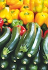 Südgemüse im Angebot bei toom Baumarkt in Recklinghausen Südgemüse Angebote bei toom Baumarkt Recklinghausen für 0,99 €