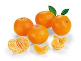 Aktuelle Obst Angebote bei REWE in Duisburg Aktuelles Clementinen Angebot bei REWE in Duisburg ab 1,59 €