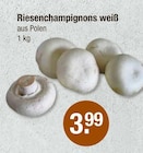 Riesenchampignons weiß im V-Markt Prospekt Riesenchampignons weiß von im aktuellen V-Markt Prospekt für 3,99 €